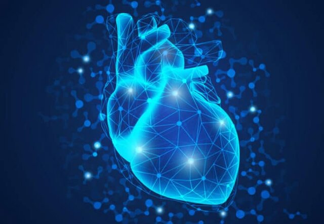  ویروس کرونا به چه نقاطی از بدن حمله می‌کند؟