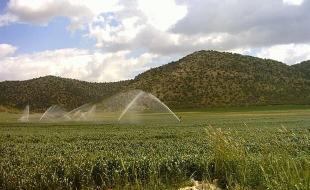 سامانه گرمسیری گامی بزرگ برای «جهش تولید» در کشور 