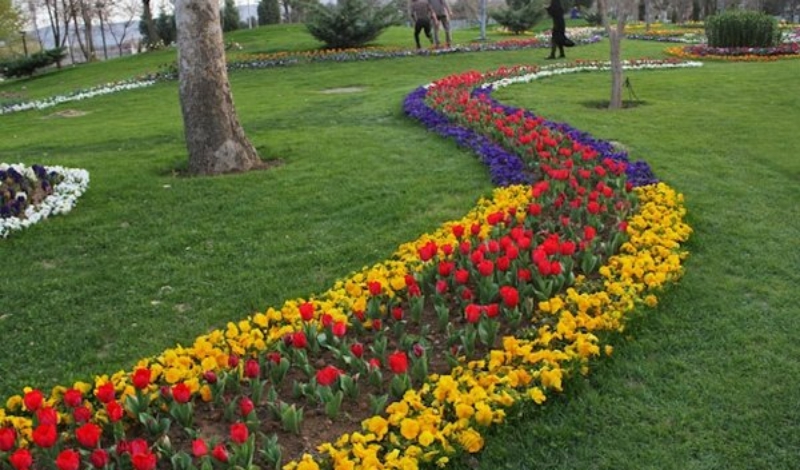  سرانه فضای سبز در کرمانشاه بیش از ۸ متر مربع است