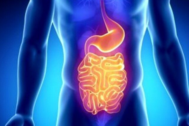  برخی عواملِ موثر بر خطر ابتلاء به سرطان روده