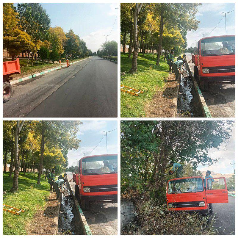 هرس پاییزی درختان در سطح شهر صحنه در حال انجام است