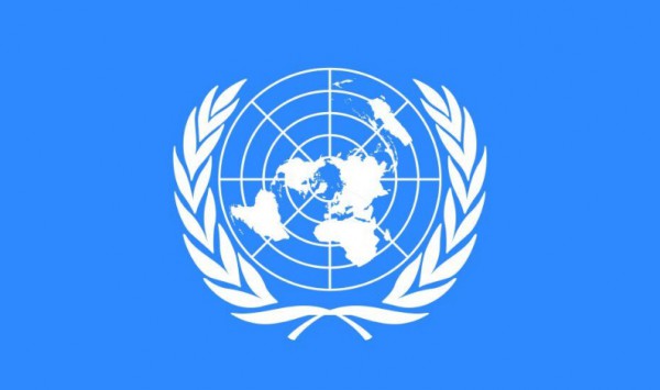 حقوق بشر یعنی کشک