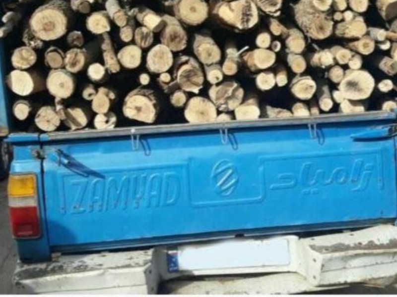 کشف ۳ تن چوب قاچاق در صحنه