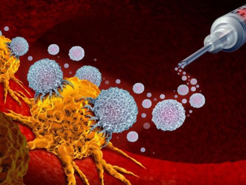 دومین عامل مرگ و میر در ایران دومین عامل مرگ و میر در ایران