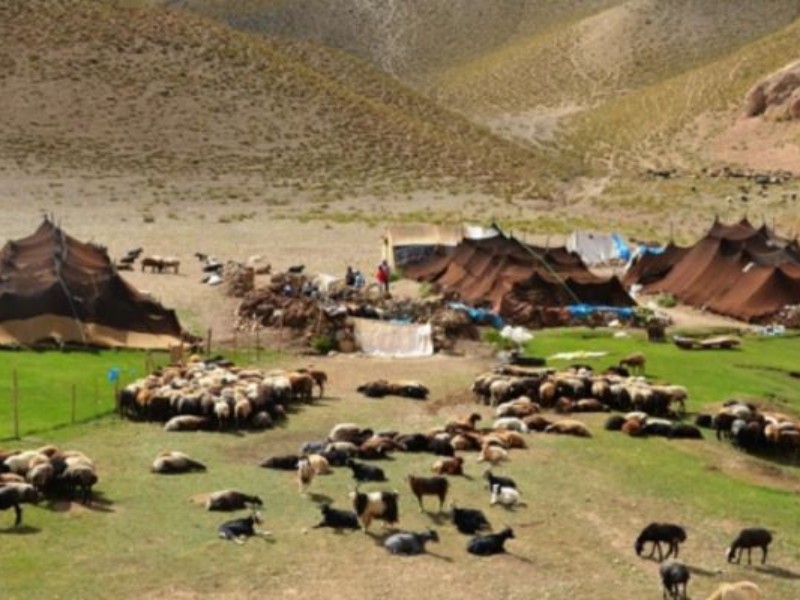 عشایر سربازان گمنام اقتصادی هستند