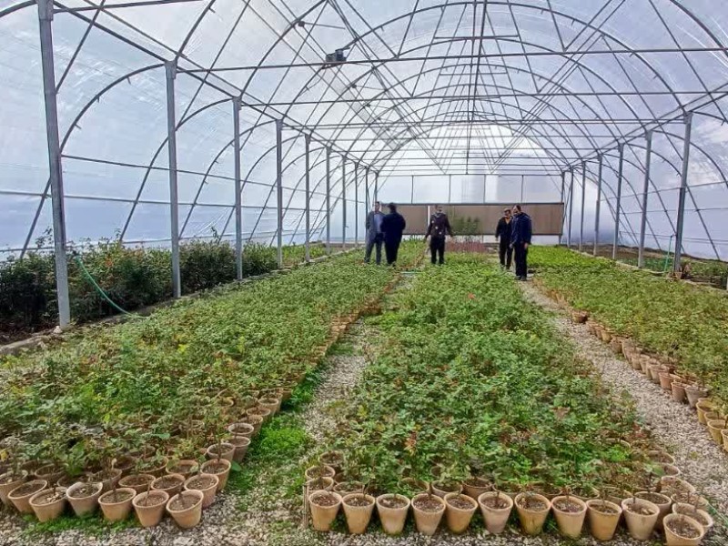 شروع عملیات کاشت ۴۰۰۰ اصله نهال در صحنه