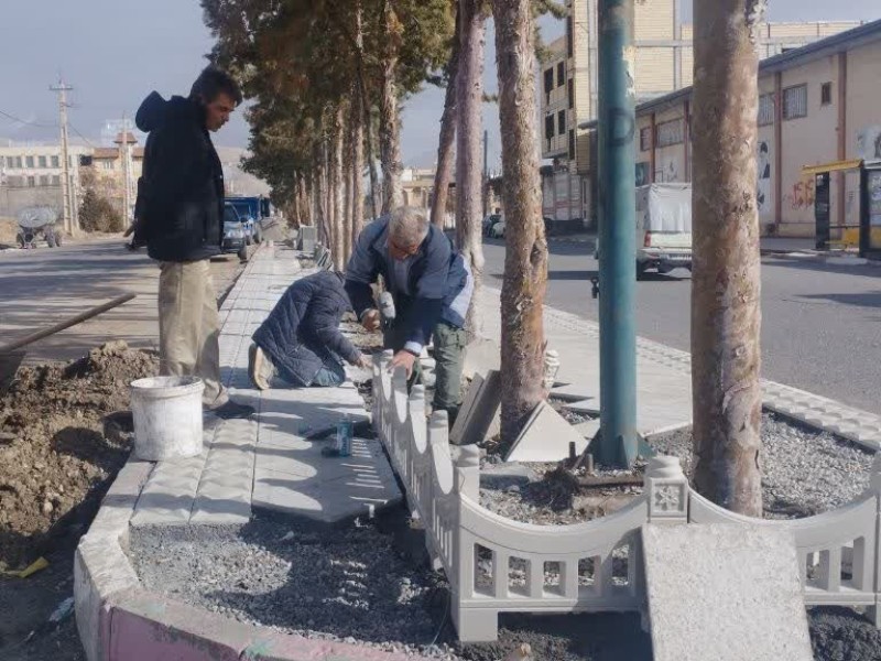 آغاز عملیات دور درختی در بلوار