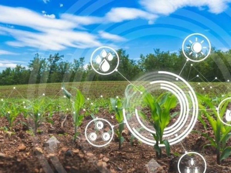 سند جدید کشاورزی کرمانشاه بهره‌وری را افزایش می‌دهد