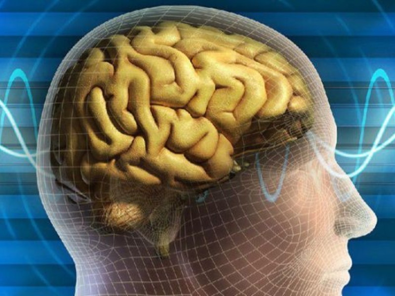 سالانه ۳ هزار کرمانشاهی دچار سکته مغزی می‌شوند