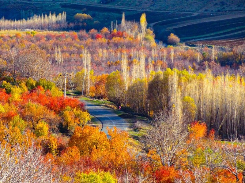 انفجار رنگ ها در خزان برگ ها /پاییز در منطقه زیبای دینور انفجار رنگ ها در خزان برگ ها /پاییز در منطقه زیبای دینور