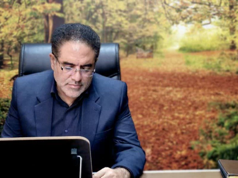 انتخابات شوراها آزمون کارآمدی سازوکارهای اجرایی در سطح محلی است.