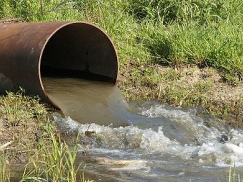 مزارع آلوده در کرمانشاه کاملاً امحا می‌شوند